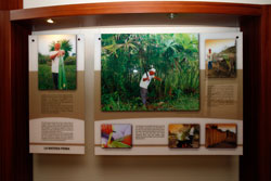 THE MAGIC OF THE HAT博物館 館内展示