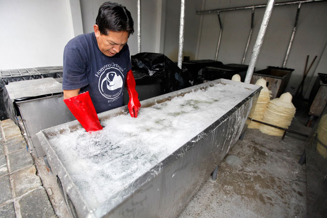 オメロオルテガ