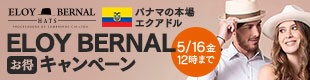 ELOY BERNAL キャンペーン