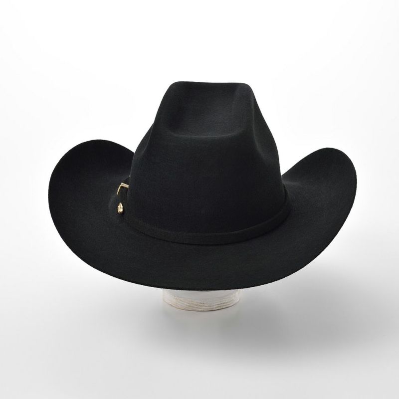 tardan ウエスタンハット メキシコ製 つば広 stetson ボルサリーノ - 帽子