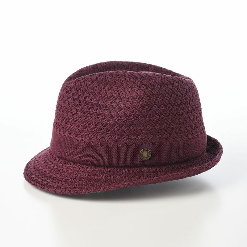 ガリュープラネットのニットハット Washable Silk Hat（ウォッシャブルシルクハット）827 ボルドー