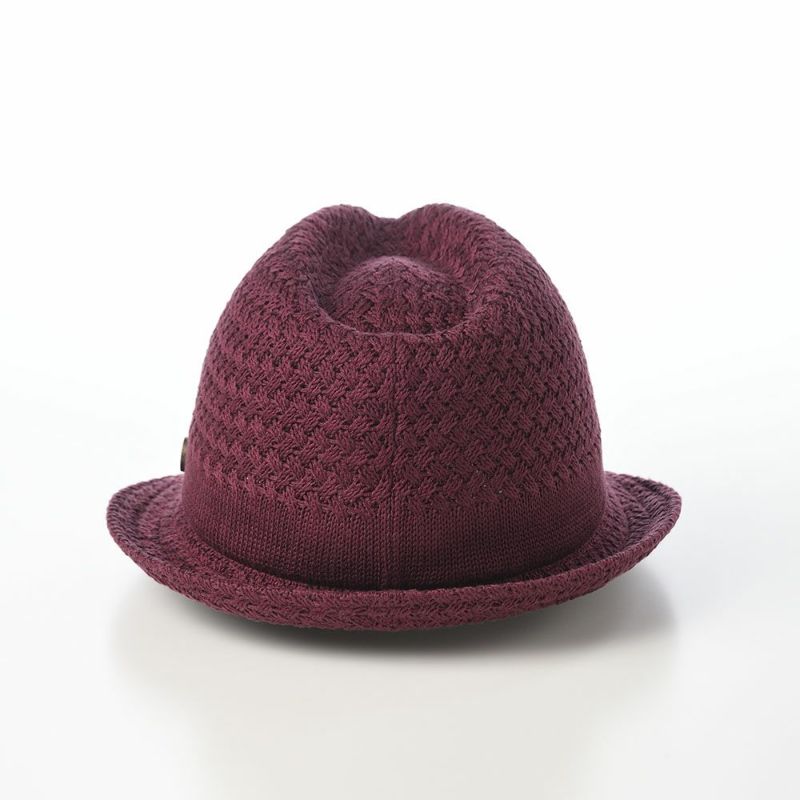 ガリュープラネットのニットハット Washable Silk Hat（ウォッシャブルシルクハット）827 ボルドー