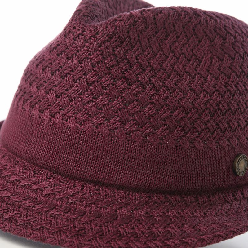 ガリュープラネットのニットハット Washable Silk Hat（ウォッシャブルシルクハット）827 ボルドー