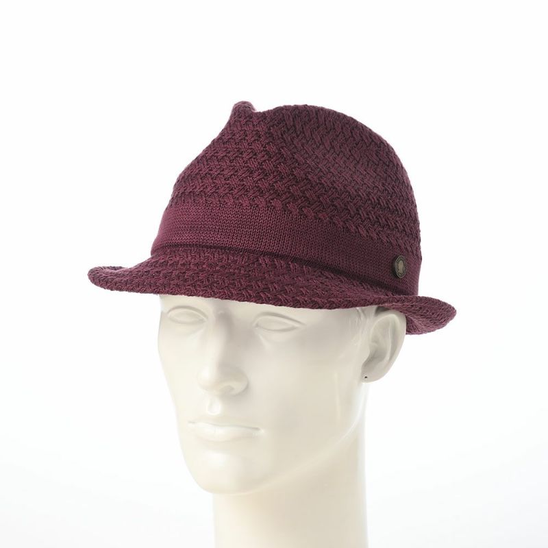 ガリュープラネットのニットハット Washable Silk Hat（ウォッシャブルシルクハット）827 ボルドー