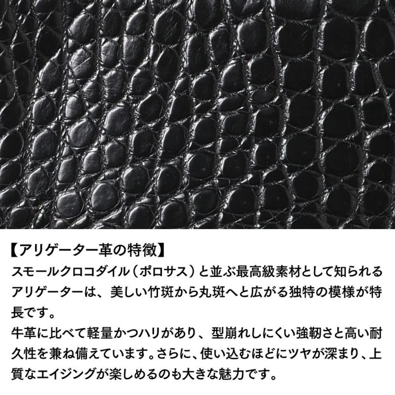 ズーのマルチケース ALLIGATOR Multi-case（アリゲーター マルチケース） ZMM-010 ピアノブラック