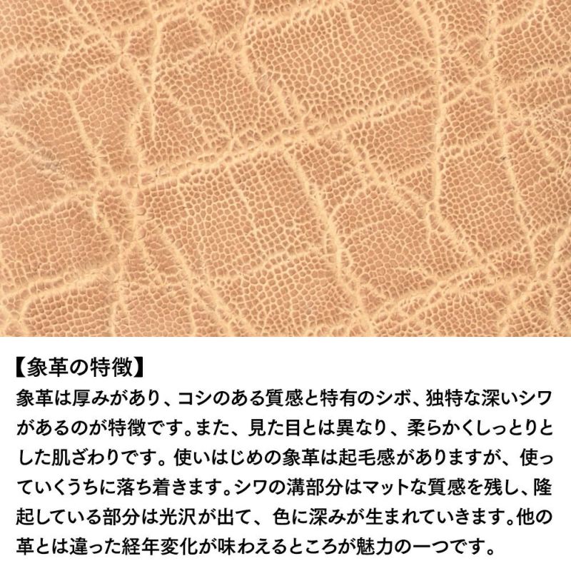 ズーの札入れ ELEPHANT Long Billfold（エレファント ロングビルフォード） ZLW-146 サンドベージュ