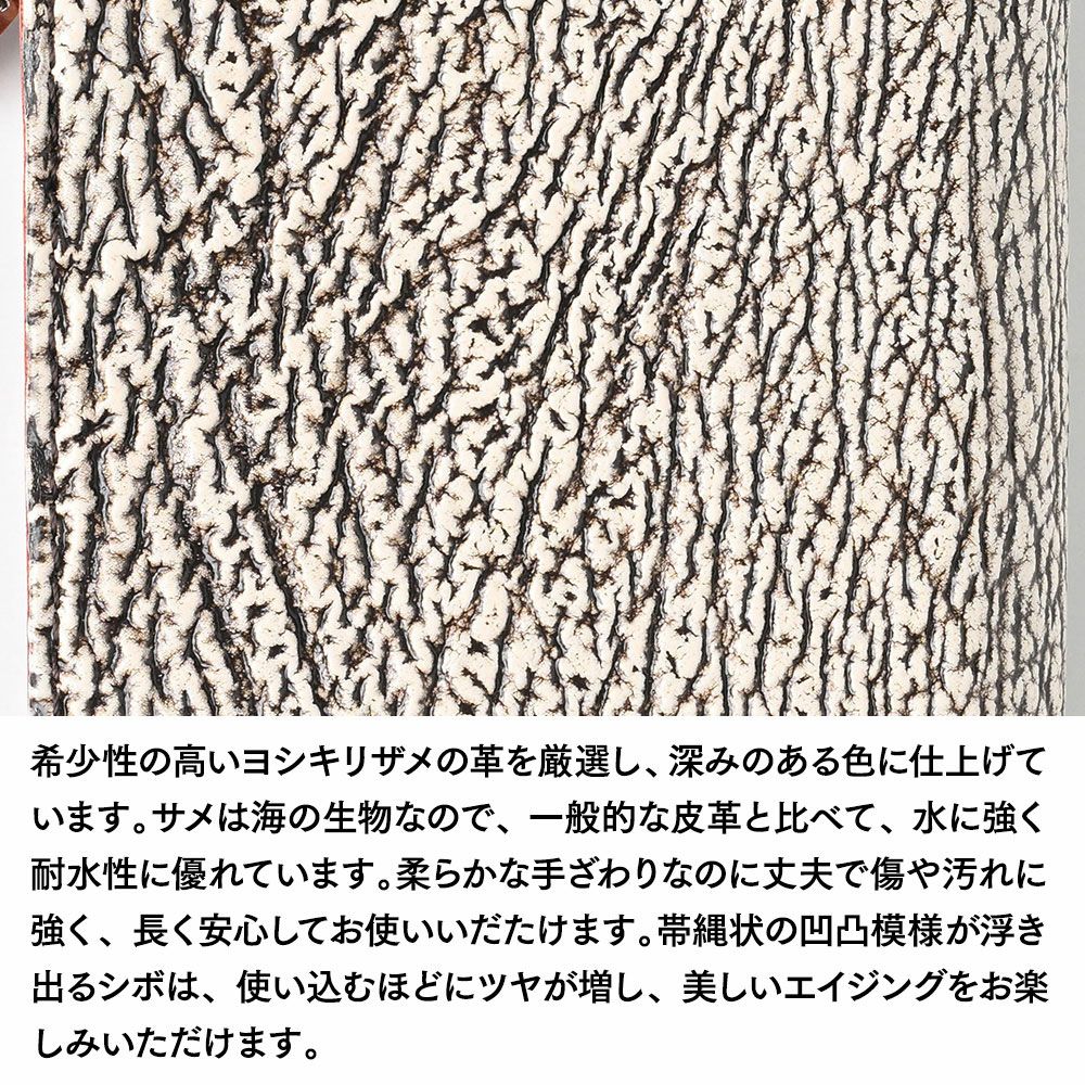 ズーの二つ折り財布 ヨシキリザメ 二つ折り ミディアムウォレット バニラ